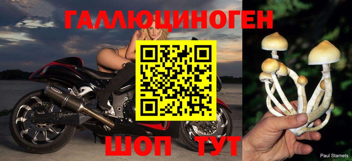 наркошоп  Вход с VPN  Красноармейск  Псилоцибиновые грибы Psilocybe 